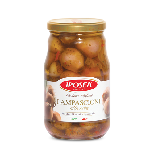 Iposea Lampascioni, Wild Onions in oil, 18.70 oz | 530g