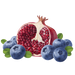 Le Preziose Jellies with Pomegranates and Blueberries Juice, 7.05 oz | 200g