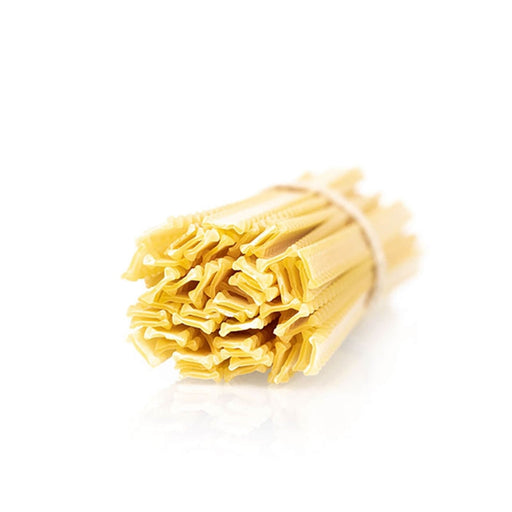Bundle of dried pasta on a white background