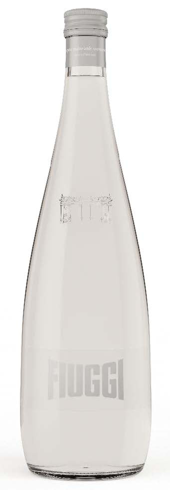 Fiuggi Natural Spring Water, Mineral Water EU, FULL Case, 6 x 1 Liter Bottle