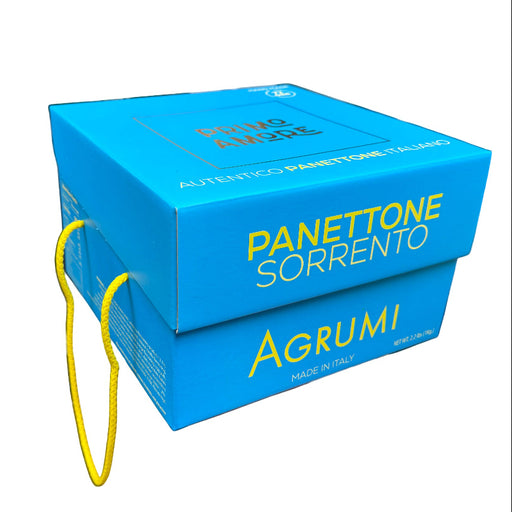 Blue box of Panettone Sorrento Agrumi held by a person in an indoor setting with boxes and equipment in the background.
