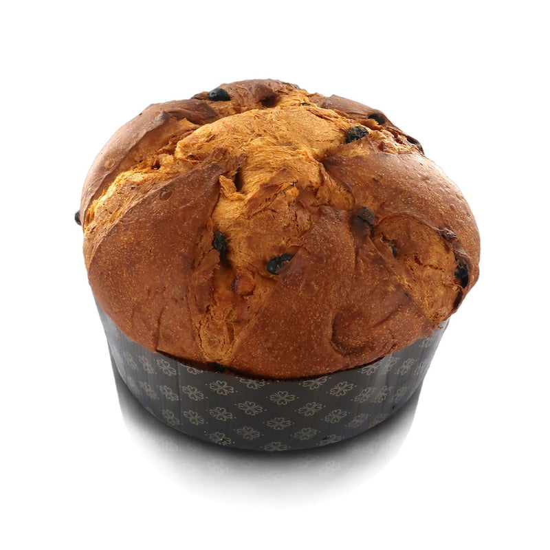 Palazzone1960 Gluten Free Panettone, 1 lb 5.2 oz | 600g
