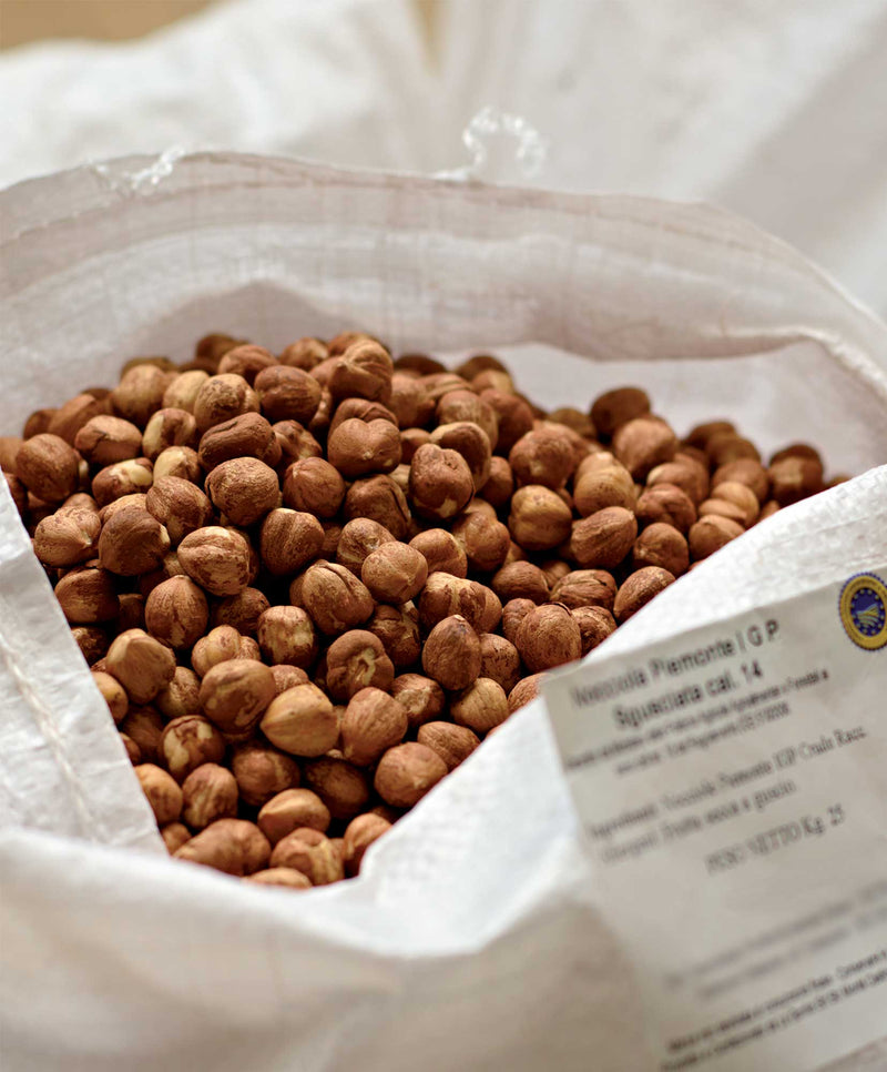 Antica Torroneria Piemontese Crunchy Torrone, Hazelnuts, 8.75 oz | 250g