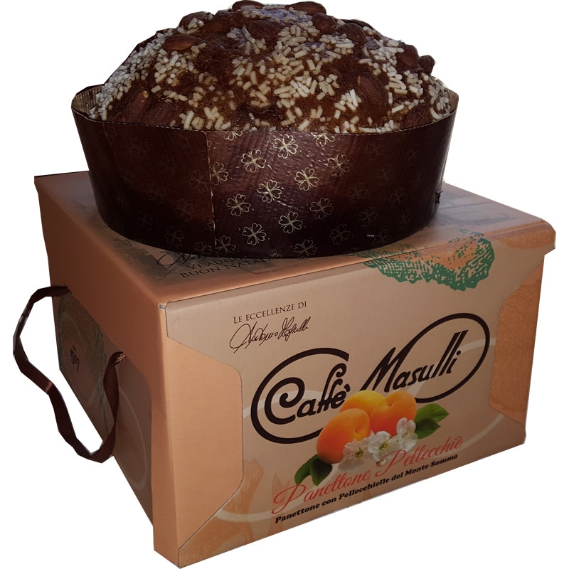 Caffe Masulli Panettone Apricot, Panettone Pellecchie, 35.27 oz | 1kg