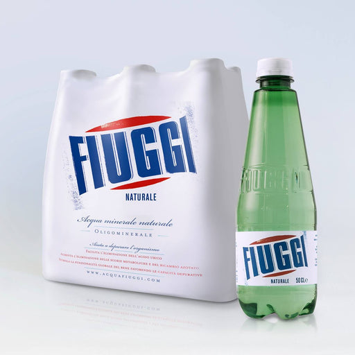 Fiuggi Natural Mineral Water FULL Case, 24 x .5 Liter Plastic Bottle