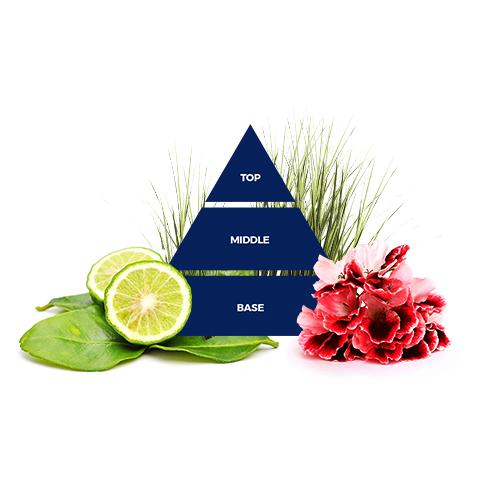 Felce Azzurra Uomo Shampoo & Shower, Cool Blue, 13.53 oz | 400 ml