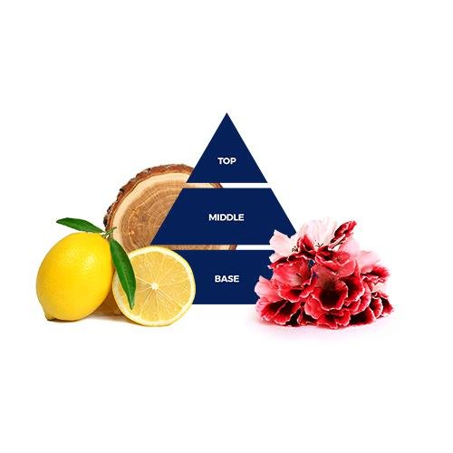 Felce Azzurra Uomo Shampoo & Shower Power Sport, 13.53 oz | 400 ml