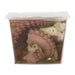 Vantia Octopus Salad, 10.58 oz | 300g