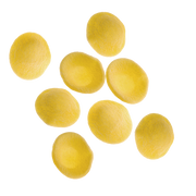 Giuseppe Cocco Orecchiette #A50, 500g (17.60 oz)