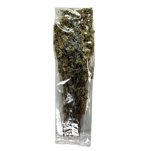 Delizie Di Calabria Oregano Bunch From Calabria, Origano a Mazzetto, 1.76 oz | 50g
