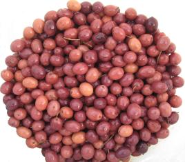 Gaeta Olives 10 LB (Drained Weight)