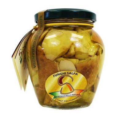 Salpa Porcini Mushrooms in Olive Oil, 9.9 oz | 280g