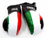 Italia Boxing Gloves