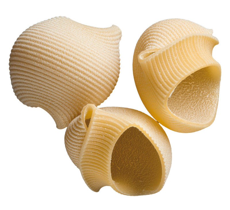 La Fabbrica Della Pasta Lumaconi Giganti, #553, 17.6 oz | 500gr