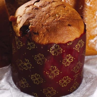 Bindi Panettoncino, Mini Panettone, 3.5 oz