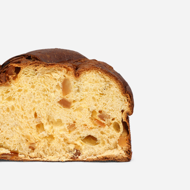 Fiasconaro Dolce & Gabbana Sicilian PANETTONE Citrus Fruits and Saffron, 17.6 oz | 500g