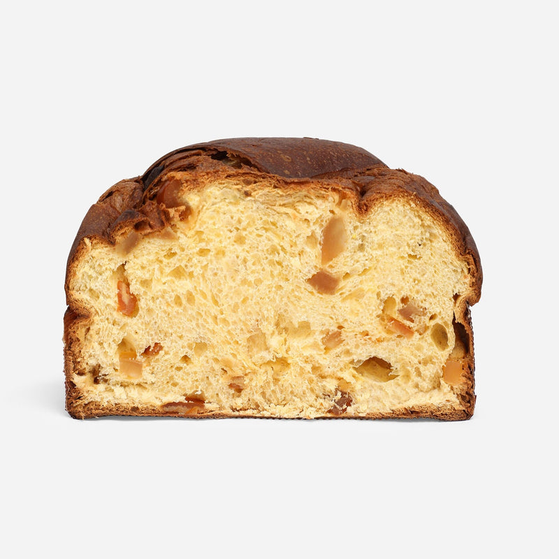 Fiasconaro Dolce & Gabbana Sicilian PANETTONE Citrus Fruits and Saffron, 17.6 oz | 500g