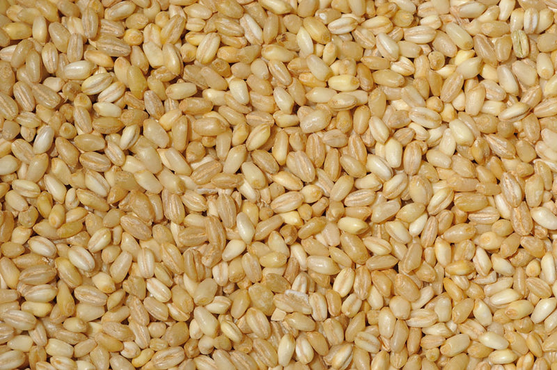 Pearled Wheat, 1 lb