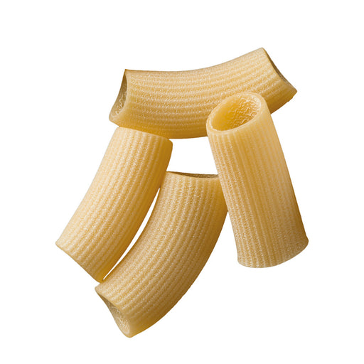La Fabbrica Della Pasta E' Rigatoni, #572, 17.6 oz | 500g