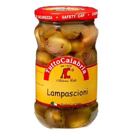 Tutto Calabria Lampascioni in oil, 10.2 oz Jar