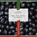 Morabito Baked Black Olives, Olive Nere al Forno, 5 lb 8 oz | 2500g