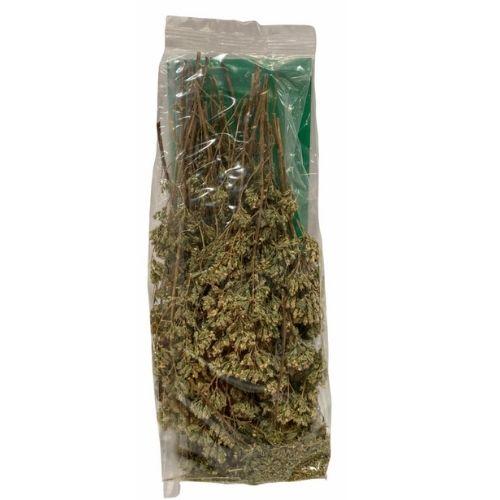 Ciao Foods Sicilian Oregano Bunch, Origano a Mazzetto, 1.4 oz | 40g