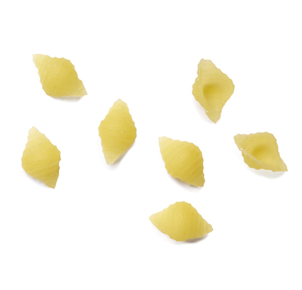 Riscossa Coccioline Pasta, #43, 16 oz | 454g