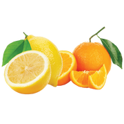 Le Preziose Jellies with Orange and Lemon Juice, 7.05 oz | 200g