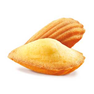 St Michel Madeleines French Sponge Cakes, 8.8 oz | 250g