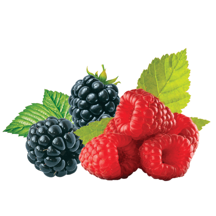 Le Preziose Jellies with Blackberry and Raspberry Juice, 7.05 oz | 200g